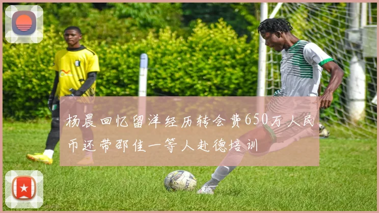 杨晨回忆留洋经历转会费650万人民币还带邵佳一等人赴德培训